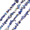 Olycraft 2 Strand Natural Lapis Lazuli Chip Bead Strands G-OC0002-30-7