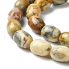 Barrel Shaped Gemstone Natural Crazy Lace Agate Beads Strands X-G-S114-08-5