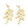Rack Plating Brass Pendants KK-C056-01G-1