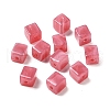 Transparent Acrylic Beads OACR-A021-14C-1