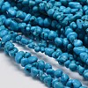 Synthetic Turquoise Nuggets Beads Strands G-L269-01-1