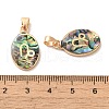 Constellation Natural Paua Shell Pendants KK-P265-01G-08-3