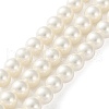 Shell Pearl Beads Strands BSHE-XCP0001-74A-2