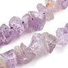 Natural Amethyst Beads Strands G-I283-F24-2