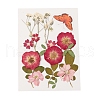 Pressed Dried Flowers DIY-YWC0001-98-2