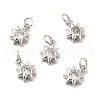 Brass Micro Pave Cubic Zirconia Charms KK-E068-VB237-2