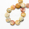 Flat Round Natural Crazy Lace Agate Beads Strands G-S110-14mm-05-2