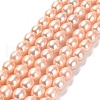 Natural Cultured Freshwater Pearl Beads Strands PEAR-E016-092-1