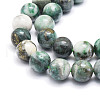 Natural Dioptase Round Beads Strands G-E569-Q01-C-3