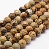 Natural Picture Jasper Beads Strands G-D840-47-10mm-1