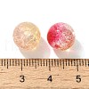Mixed Style Glass Beads GLAA-XCP0012-02B-3