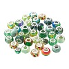80Pcs 20 Style Acrylic & Glass & Resin & Resin & 304 Stainless Steel European Beads DIY-LS0004-09-4