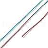 Segment Dyed Polyester Thread NWIR-I013-E-24-3
