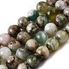 Natural Green Cherry Blossom Agate Beads Strands G-NH0061-A01-10mm-2