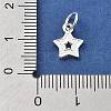 925 Sterling Silver Charms STER-S009-07C-S-3