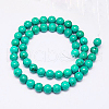 Natural Magnesite Beads Strand TURQ-G096-10mm-2