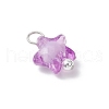 Transparent Acrylic Pendants PALLOY-JF03839-01-4