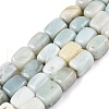 Natural Flower Amazonite Beads Strands G-T138-89-4