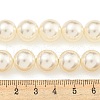 Glass Pearl Beads Strands HY-G002-01F-02-5