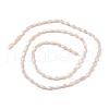 Opaque Glass Beads Strands GLAA-P001-04A-04-3