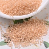 MIYUKI Delica Beads SEED-J020-DB0067-1