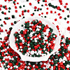Glass Seed Beads SEED-N007-13L-2