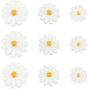 BENECREAT 18Pcs 3 Style Natural Freshwater Shell Beads SHEL-BC0001-020-1