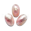Natural Shell Cabochons SHEL-K008-07B-1