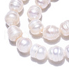 Natural Cultured Freshwater Pearl Beads Strands PEAR-N012-08G-3