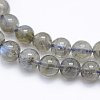 Natural Labradorite Beads Strands G-P336-19-6mm-3