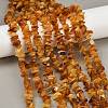 Natural Amber Beads Beads Strands G-Q060-C05-1