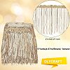 Olycraft 1 Strands Polyester Tassel Lace Trims OCOR-OC0001-12-2