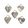 Natural Labradorite Faceted Pendans KK-L218-005G-03-1