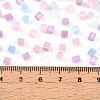 6/0 Transparent Colours Glass Seed Beads SEED-N007-22B-4