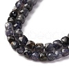 Natural Iolite Beads Strands G-RM25324-01-4