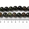 Natural Chrysoprase Beads Strands G-H298-A09-05-5