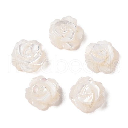 Natural White Shell Beads SSHEL-C012-06-1