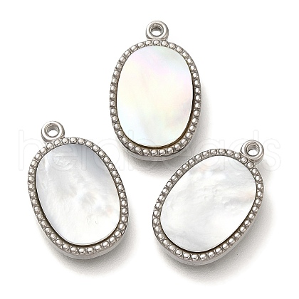 304 Stainless Steel Charms STAS-S148-11P-1