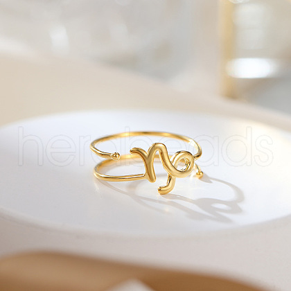 Twelve Constellations 925 Sterling Silver Finger Rings FS-WGD38E8-20-1