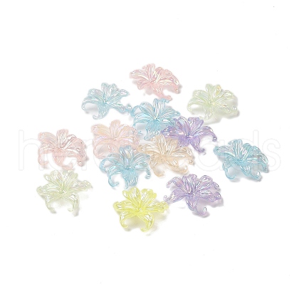 Transparent Acrylic Bead Caps DIY-B073-08-1