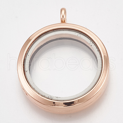 Alloy Magnetic Locket Pendants PALLOY-T052-22RG-1