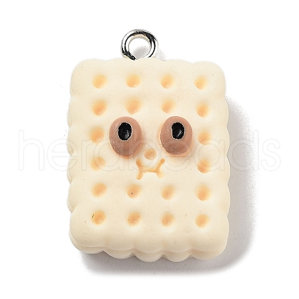 Cookies Theme Imitation Food Resin Pendants X-RESI-B021-02C-05-1