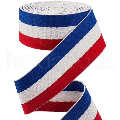 Gorgecraft 4.7 Yards Flat Nylon Striped Elastic Band OCOR-GF0003-84C-1