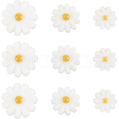 BENECREAT 18Pcs 3 Style Natural Freshwater Shell Beads SHEL-BC0001-020-1