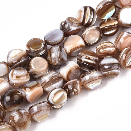 Natural Freshwater Shell Beads Strands SSHEL-N040-16-1