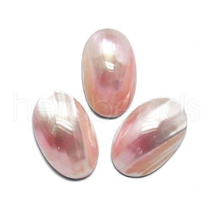 Natural Shell Cabochons SHEL-K008-07B-1