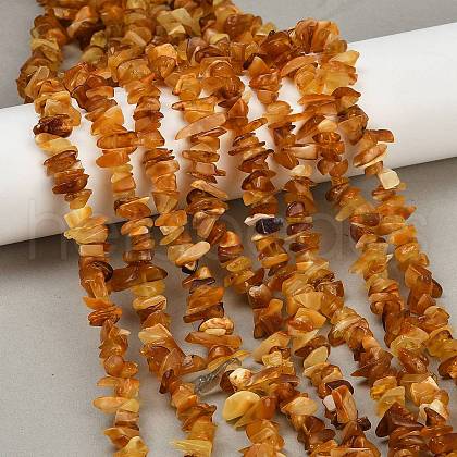 Natural Amber Beads Beads Strands G-Q060-C05-1