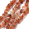 Natural Agate Chip Bead Strands G-M205-47-2