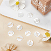  10Pcs Natural White Shell Connector Charms SSHEL-NB0001-37-4