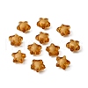 Transparent Acrylic Beads TACR-S091-12mm-20-2